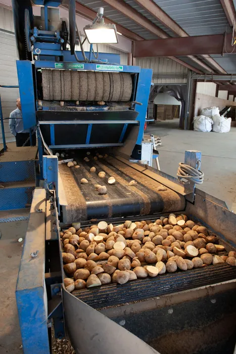 Automated food processing production line